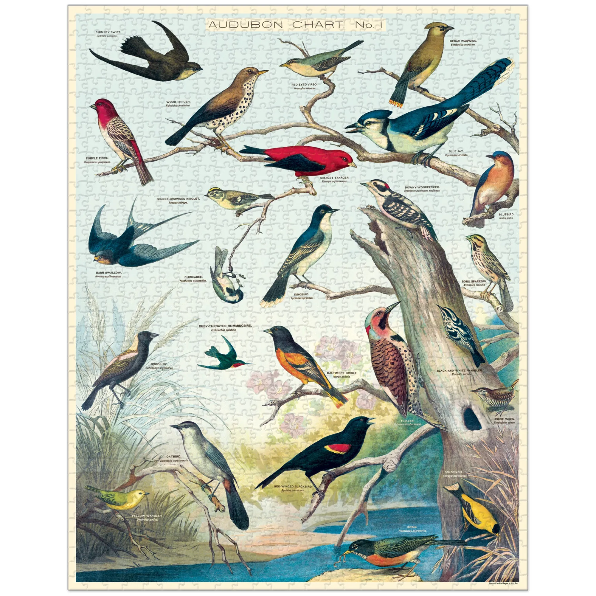 1,000-Piece Puzzle - "Birds"