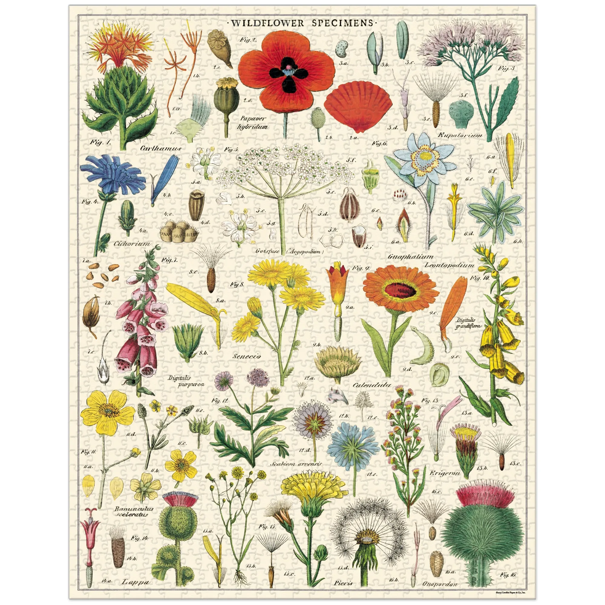 1,000-Piece Puzzle - "Wildflowers"