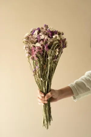 Arte Casa Decorative Colourful Statice | Naturally Dried Stem for Vase Filler for Home Decor| Indoor| Office Decor | Room Decoration | Photography Props (Set of 15-20 Stems)