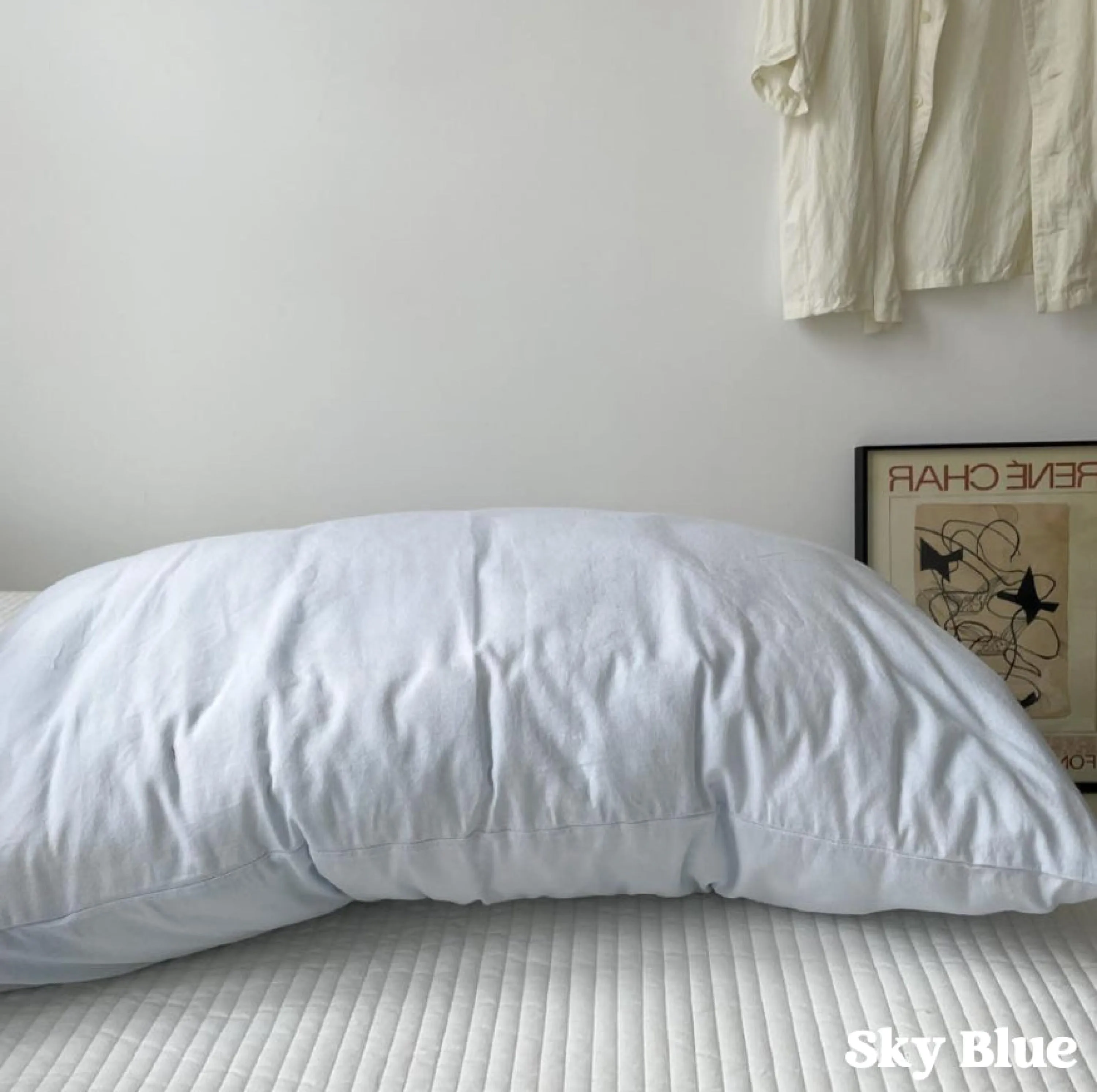 Assorted Washed Cotton Pillowcases / Floral Beige