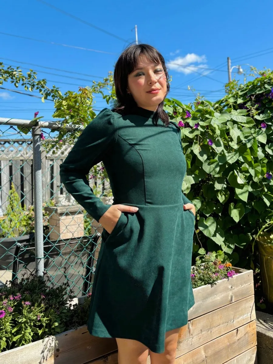 Birds of North America Topaz Dress (Conifer)
