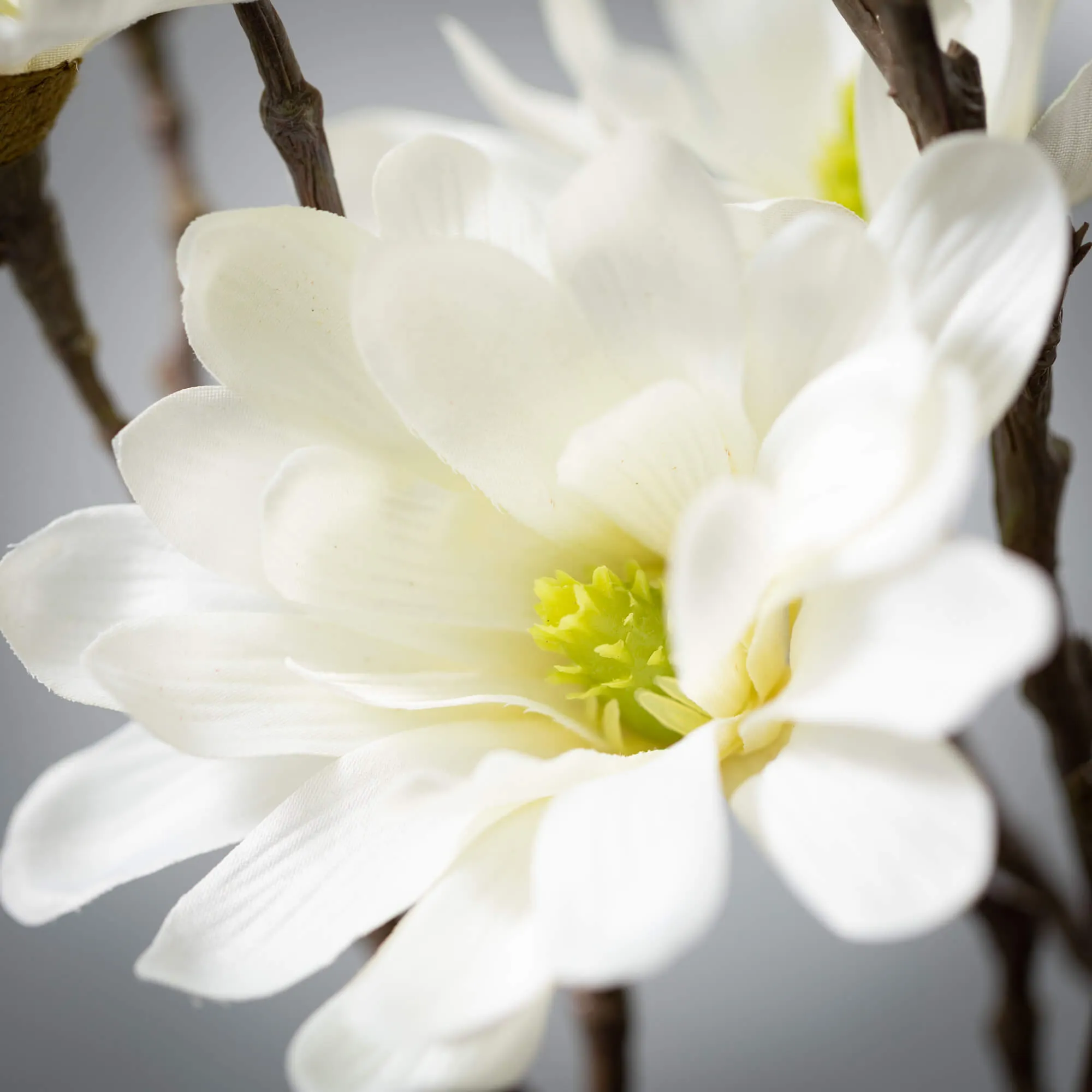 Cream White Magnolia Spray