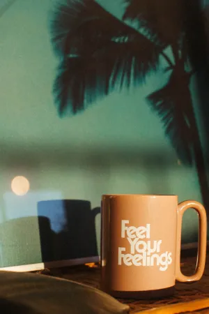 Feel Your Feelings | Mug