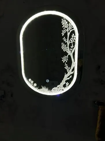 HIMANS Diamond Capsule Shaped Led Mirror with Touch Sensor. Silver Light Silver Mirror.Stunning Home Diamond Decor Mirror.