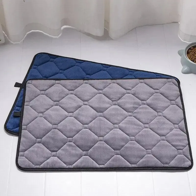 Large Dog Mat Pet Plush Warm  – Luxurious Crystal Velvet