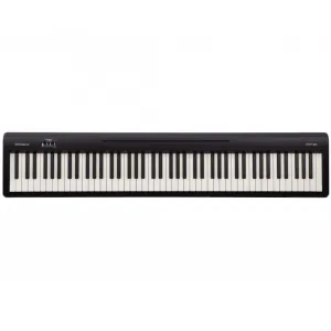 Roland FP-10 Portable Digital Piano In Black