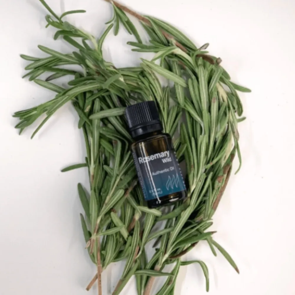 Rosemary (Wild)
